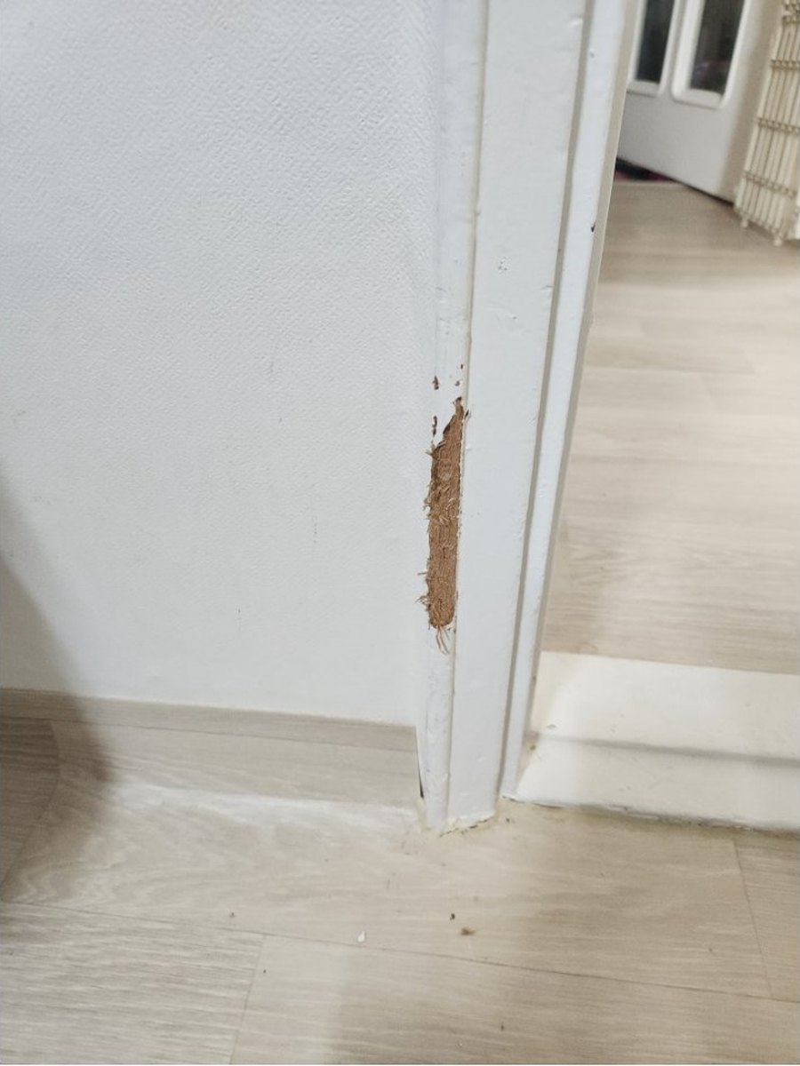 송파구 나무문틀 복원 시공 전